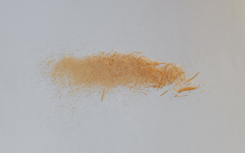 Orange wax dust from piercing