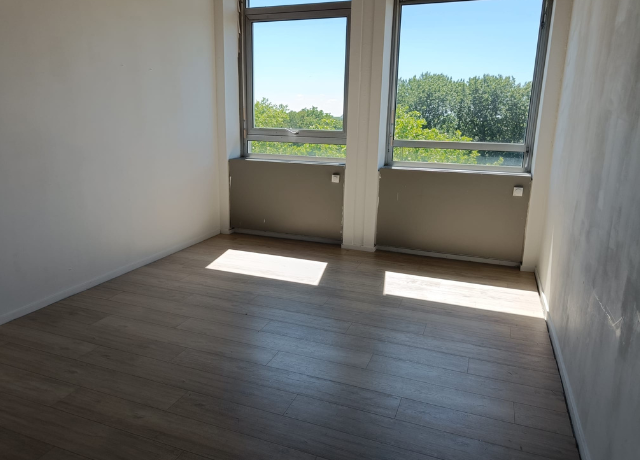 Empty studio with gray laminate on the floor and 2 big windows with trees visible. It's not much yet but it will be!